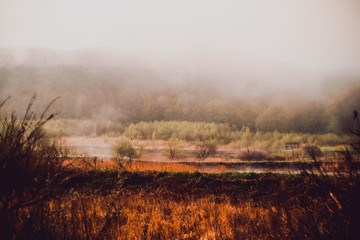 Morning landscape in the field