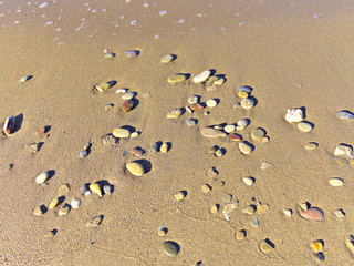 Small round cobblestones washed on sunny beach closeup.