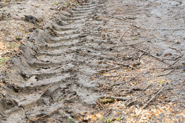 Tire tread of car wheels in the mud.