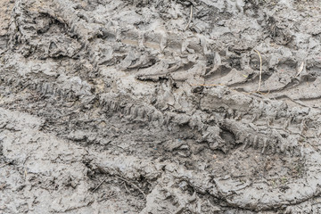 Tire tread of car wheels in the mud.