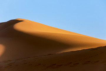 Fototapeta na wymiar golden sand dune in sahara desert with blue sky
