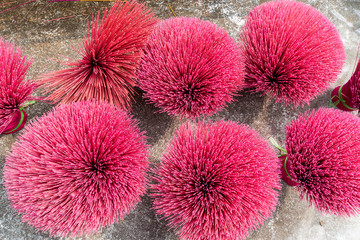 Incense stick factory is a traditional career in village Hung Yen province near Hanoi, Vietnam