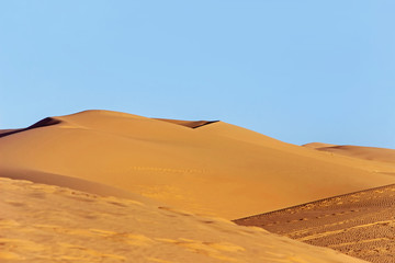 Plakat golden sand dune in sahara desert