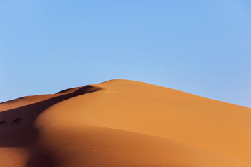 Fototapeta na wymiar landscape of empty golden sand dune in Sahara desert in Morocco