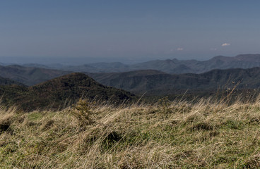 Peak of the mountain at Max Patch Mountain.