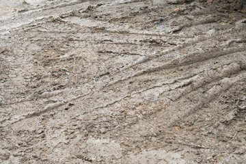 Naklejka premium Tire tread of car wheels in the mud.