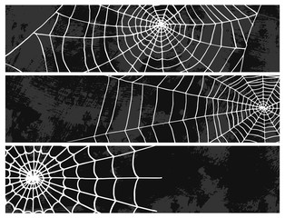 Spiders vector web silhouette spooky nature halloween element cobweb decoration fear spooky net. Web with spider isolated