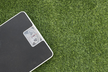 Weighing scale on green grass. 