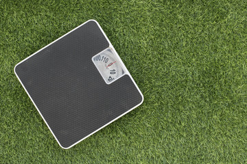 Weighing scale on green grass. 