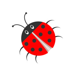 Ladybug icon. Vector illustration.