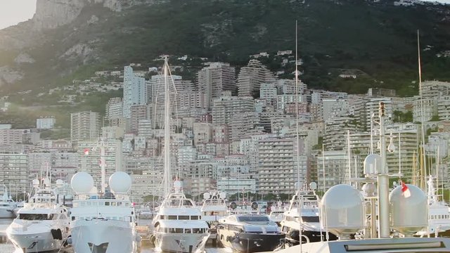 Monaco city town Monte Carlo street palm sunny day