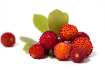 Strawberry Tree (Arbutus Unedo) fruit