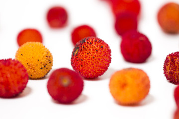 Strawberry Tree (Arbutus Unedo) fruit