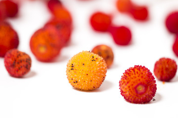 Strawberry Tree (Arbutus Unedo) fruit