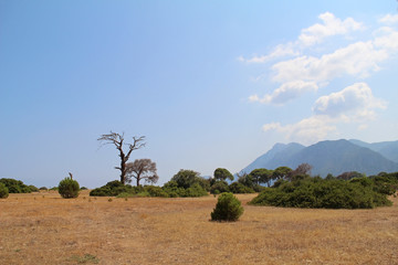 Nice Turkey landscape at Olympus national park. Turkey. © marimarkina