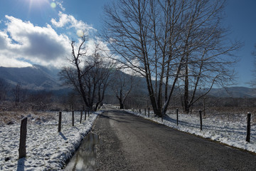 Obraz na płótnie Canvas Sparks Road in Cades Cove after a dusting of snow on a cold winter morning 