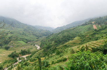 Terraced Rice Field after harvest on mountain