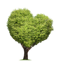 Tree isolated in a shape of heart on white background high resolution for graphic decoration, suitable for both web and print media