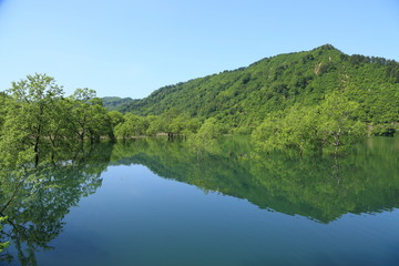 Fototapeta premium 初夏の荒沢湖 Arasawa Lake in early summer / Tsuruoka, Yamagata, Japan