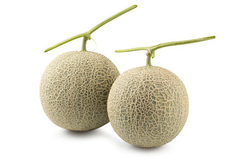 Cantaloupe melon isolated on a white background