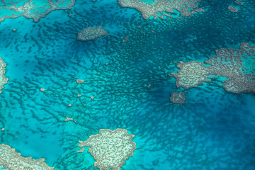Fototapeta na wymiar Reef Lines