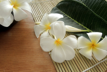 Plumeria flowers with green leaf on wooden table for spa and wellness concept.