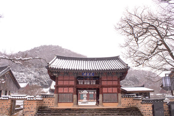 Beautiful winter landscape