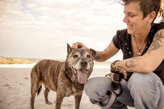 Smiling woman on the beach stroking her pitbull dog, Saint Petersburg, Florida, America, USA