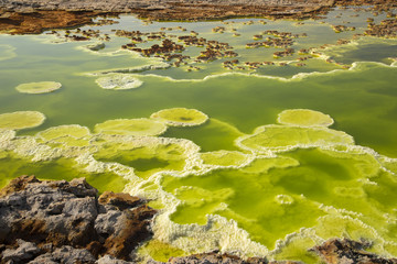 Dalol, Danakil Depression. Volcanic hot spring in Ethiopia