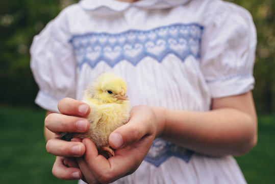 Girl standing in a garden holding a chick