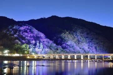 京都　嵐山花灯路ライトアップ