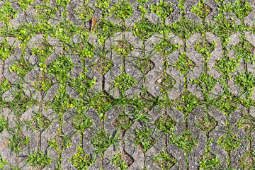 Brick block with small trees inserted.