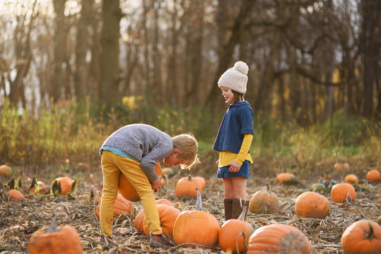 Boy and girl picking pumpkins in a pumpkin patch