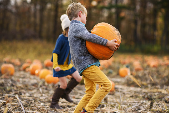 Boy and girl picking pumpkins in a pumpkin patch