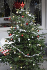Weihnachtsbaum