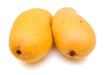 Mango on white background