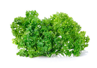 parsley isolated on a white background
