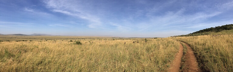 Fototapeta na wymiar Masai Mara National Park in Kenya