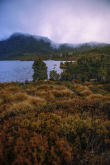 Fototapeta na wymiar Cradle mountain in Tasmania on a cloudy day.