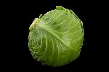 Salad young cabbage closeup