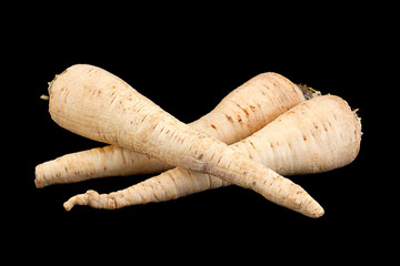 Parsley root on black