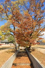 Fototapeta premium the road, korean royal palace, Gyeongbokgung, landscape