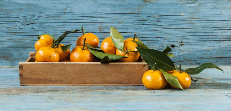 Fresh tangerines in an old box with leaves