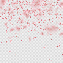 Petals falling confetti effect isolated on transparent. EPS 10 vector