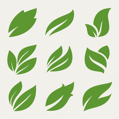 Leaves icon set. Collection of leaf logo design for green, eco, organic, food, beauty, health care brand identity. vector illustration .