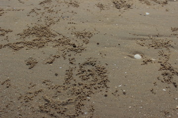 Sand, space and texture for text concept