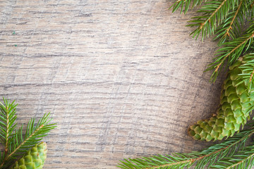 Greeting card or web background with beautiful, fresh, green pine cones. Mock up for holiday post card and seasonal offers as advertising or other ideas. Empty place for a text. Top view.