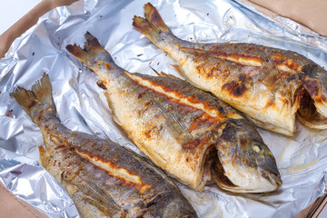 Raw Fish Food