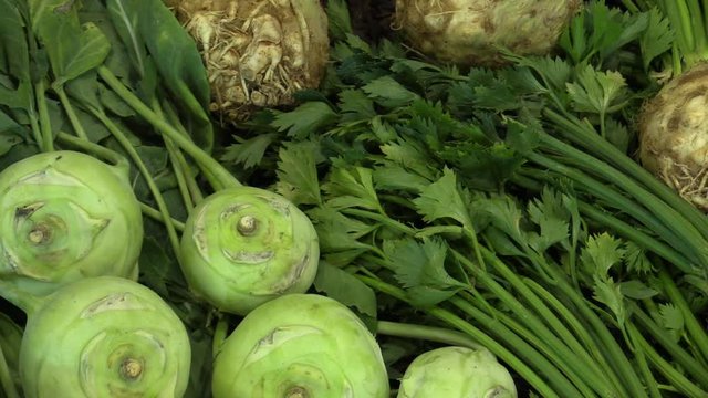 Kohlrabi Brassica oleracea and celery root Apium graveolens, very fresh on the outdoor urban market, head of celery leaf stalks are eaten, Europe