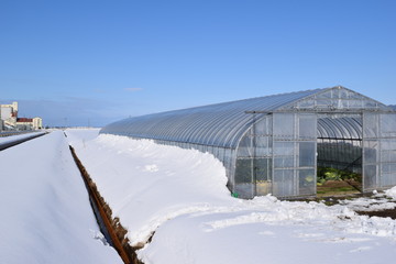 雪の中のビニールハウス